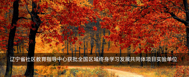 辽宁省社区教育指导中心获批全国区域终身学习发展共同体项目实验单位