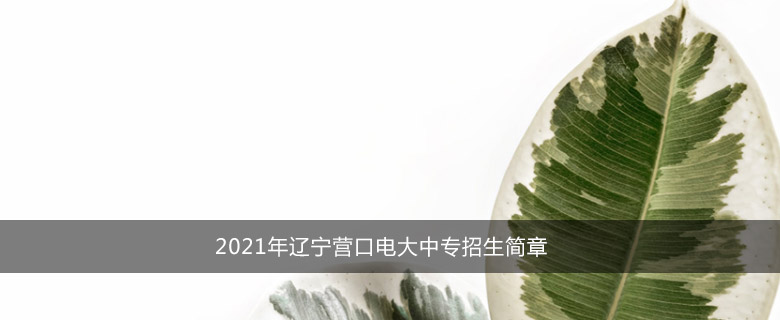 2021年辽宁营口电大中专招生简章