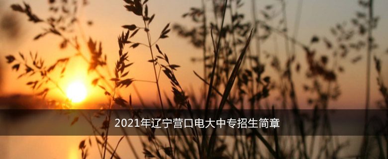 2021年辽宁营口电大中专招生简章