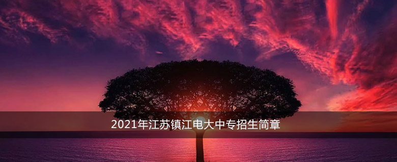 2021年江苏镇江电大中专招生简章