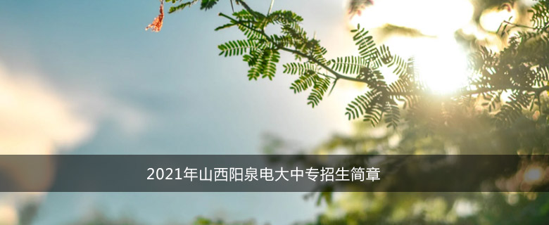 2021年山西阳泉电大中专招生简章