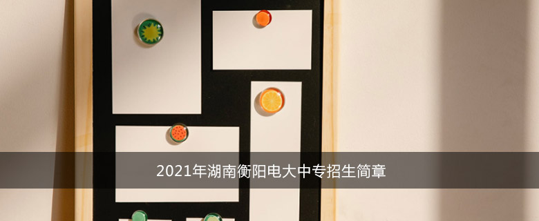 2021年湖南衡阳电大中专招生简章