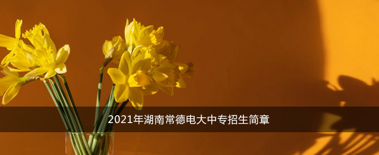2021年湖南常德电大中专招生简章